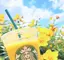 Ebaのプロフィール画像