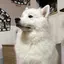 あのプロフィール画像