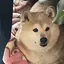 ゆなのプロフィール画像