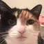 うるるんのプロフィール画像