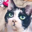 スライムのプロフィール画像