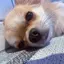 まゆのプロフィール画像