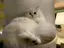 茜子のプロフィール画像