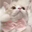 ゆなのプロフィール画像