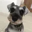 よしこのプロフィール画像
