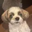 ころみのプロフィール画像