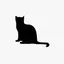 ちゃんのプロフィール画像