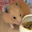 ゆのプロフィール画像