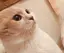 miiのプロフィール画像