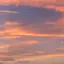 nyaruのプロフィール画像