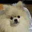 でこのプロフィール画像