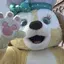 ワドチャンのプロフィール画像