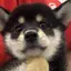 モグのプロフィール画像