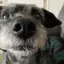 かのプロフィール画像