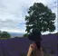 奈々のプロフィール画像