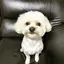 mina のプロフィール画像