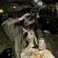 tomokaのプロフィール画像