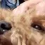 ちひろのプロフィール画像