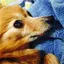 りっちゃんのプロフィール画像