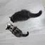 nyaのプロフィール画像