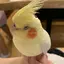 saaのプロフィール画像