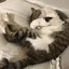 みさきのプロフィール画像