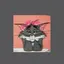 nのプロフィール画像