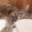 ゆうのプロフィール画像