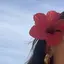 ナのプロフィール画像