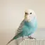 ぬーのプロフィール画像