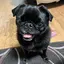ユミのプロフィール画像