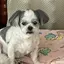 はるのプロフィール画像