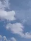 フランのプロフィール画像