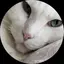 リッチ君のプロフィール画像