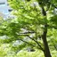 ながののプロフィール画像