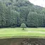るるのプロフィール画像