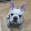 bananaのプロフィール画像
