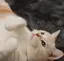 まきのプロフィール画像