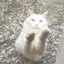 さっちゃんのプロフィール画像