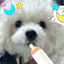 とっつぁんのプロフィール画像