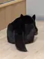 四角のプロフィール画像