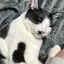 みやのプロフィール画像