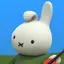 かもめのプロフィール画像