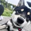紗耶香のプロフィール画像