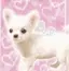 はおのプロフィール画像