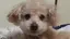 Yuseiのプロフィール画像