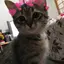 fuのプロフィール画像