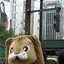 魚のプロフィール画像