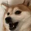 honのプロフィール画像