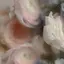 hのプロフィール画像